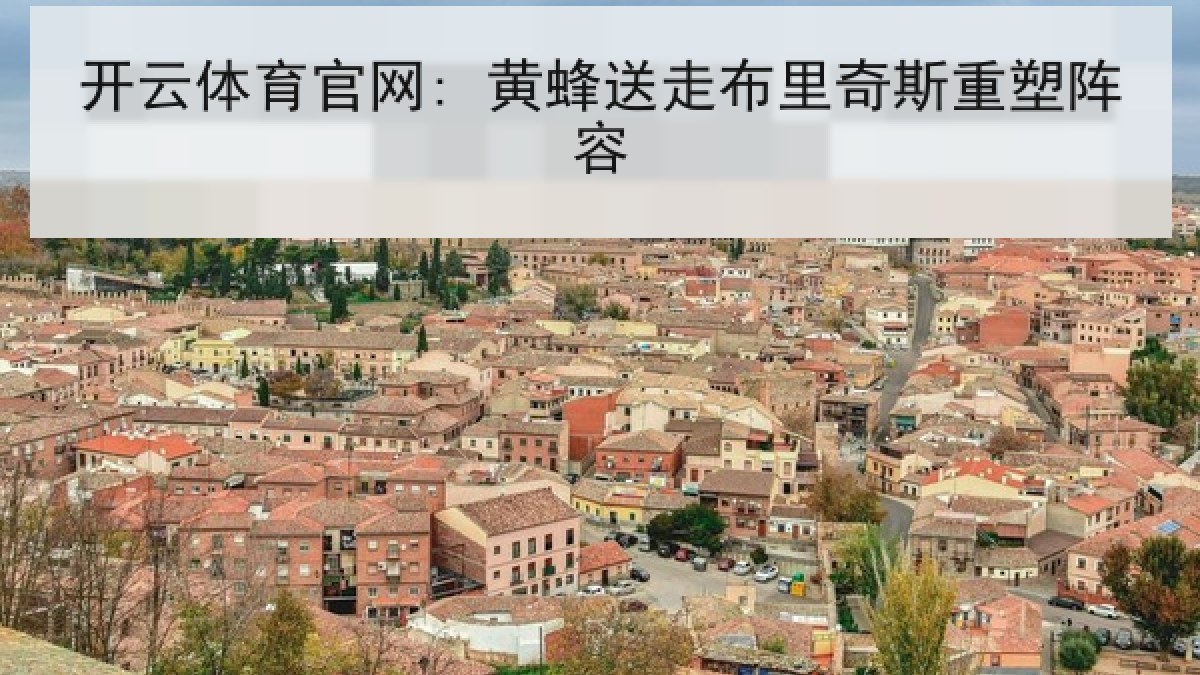 开云体育官网: 黄蜂送走布里奇斯重塑阵容 开云体育官网: 黄蜂送走布里奇斯重塑阵容